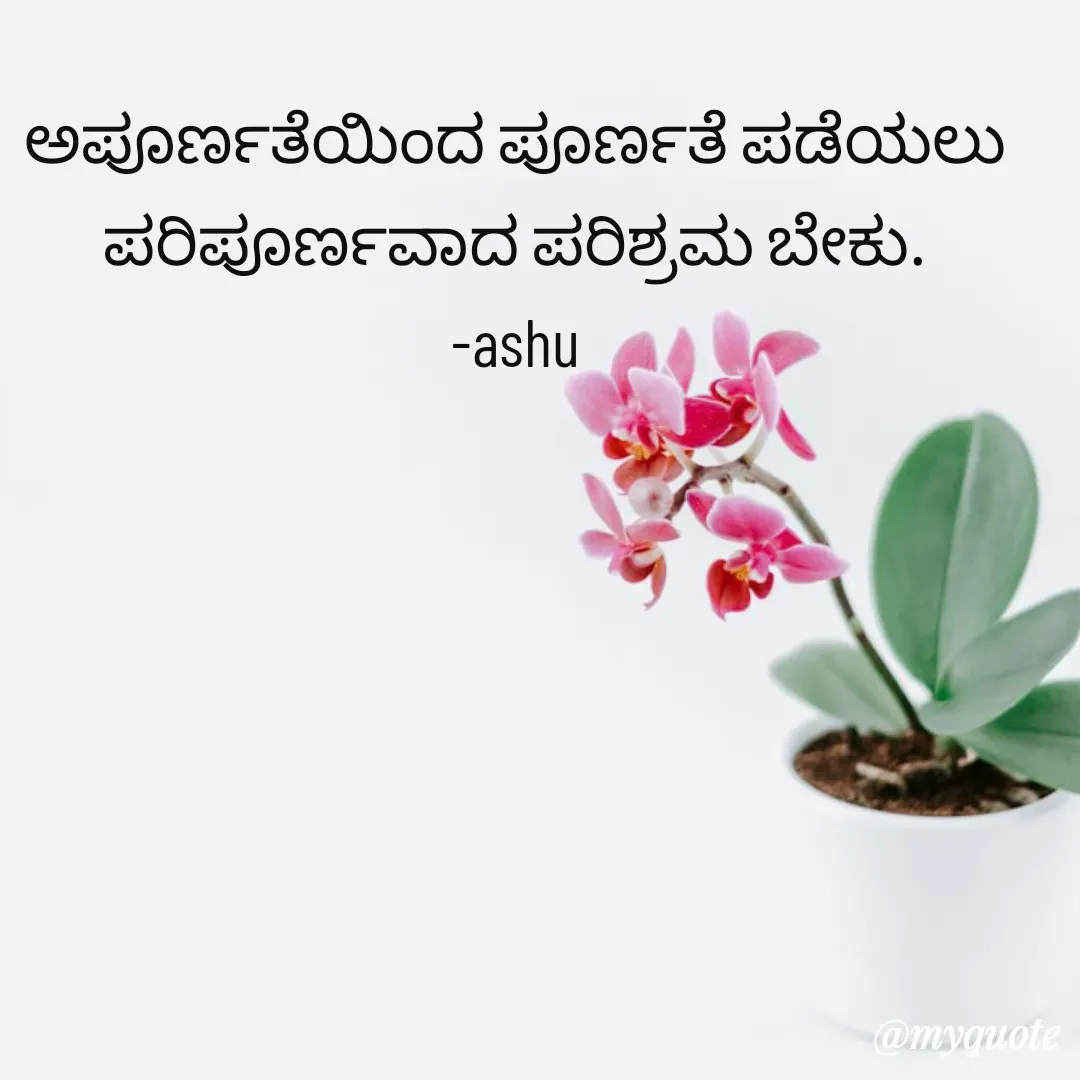 Quote by Haseena Kote -  - Made using Quotes Creator App, Post Maker App