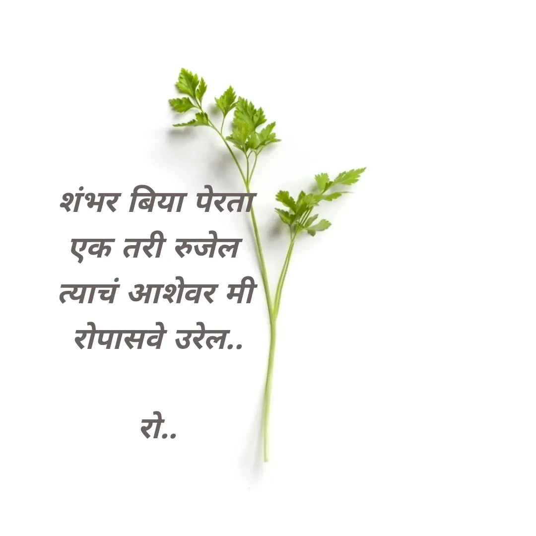 Quote by Rohini Mithe - शंभर बिया पेरता
एक तरी रुजेल 
त्याचं आशेवर मी
रोपासवे उरेल..

रो.. - Made using Quotes Creator App, Post Maker App