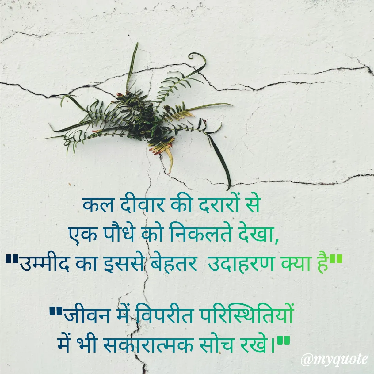 Quote by Anju - कल दीवार की दरारों से 
एक पौधे को निकलते देखा,
"उम्मीद का इससे बेहतर  उदाहरण क्या है"

"जीवन में विपरीत परिस्थितियों 
में भी सकारात्मक सोच रखे।" - Made using Quotes Creator App, Post Maker App