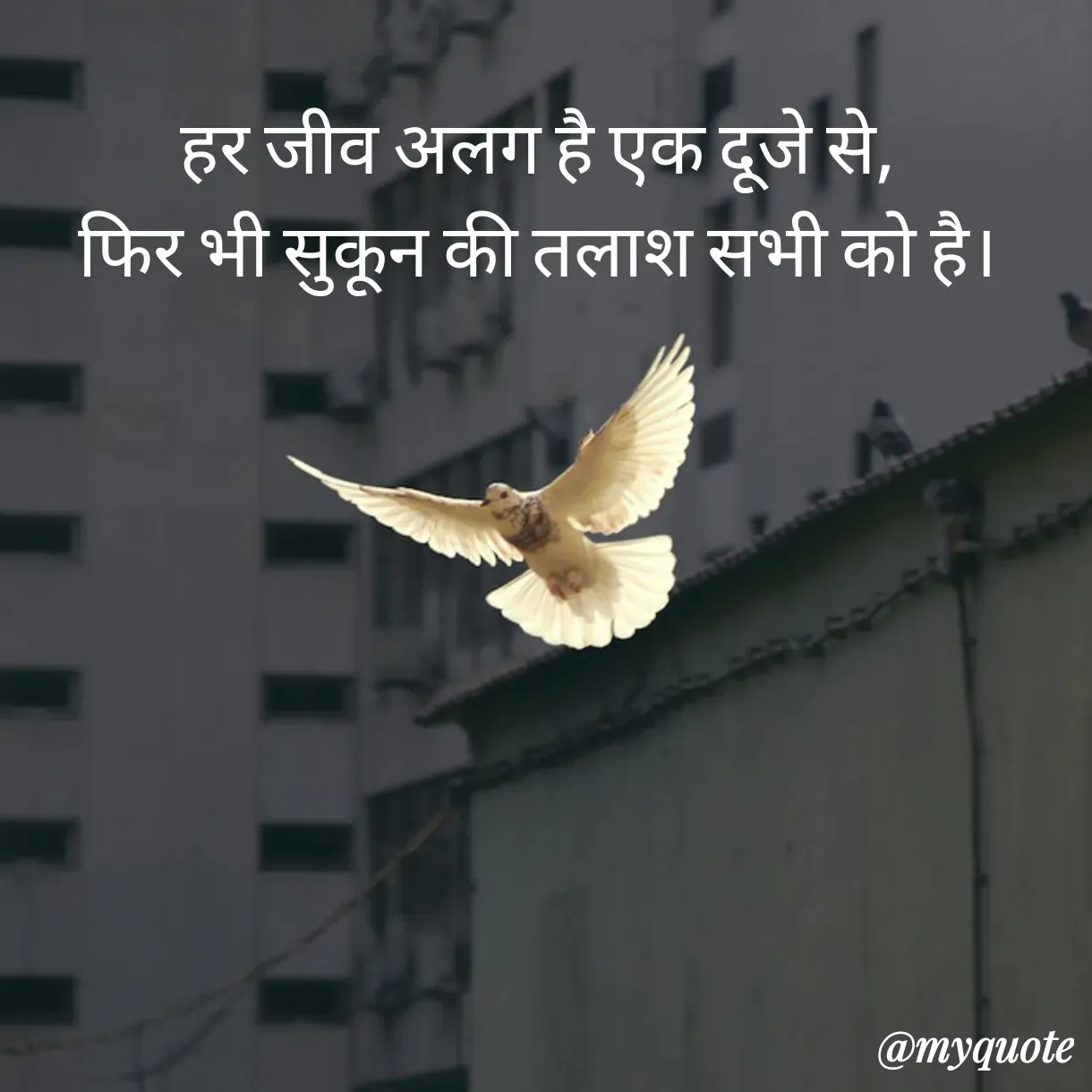 Quote by Anju -  - Made using Quotes Creator App, Post Maker App