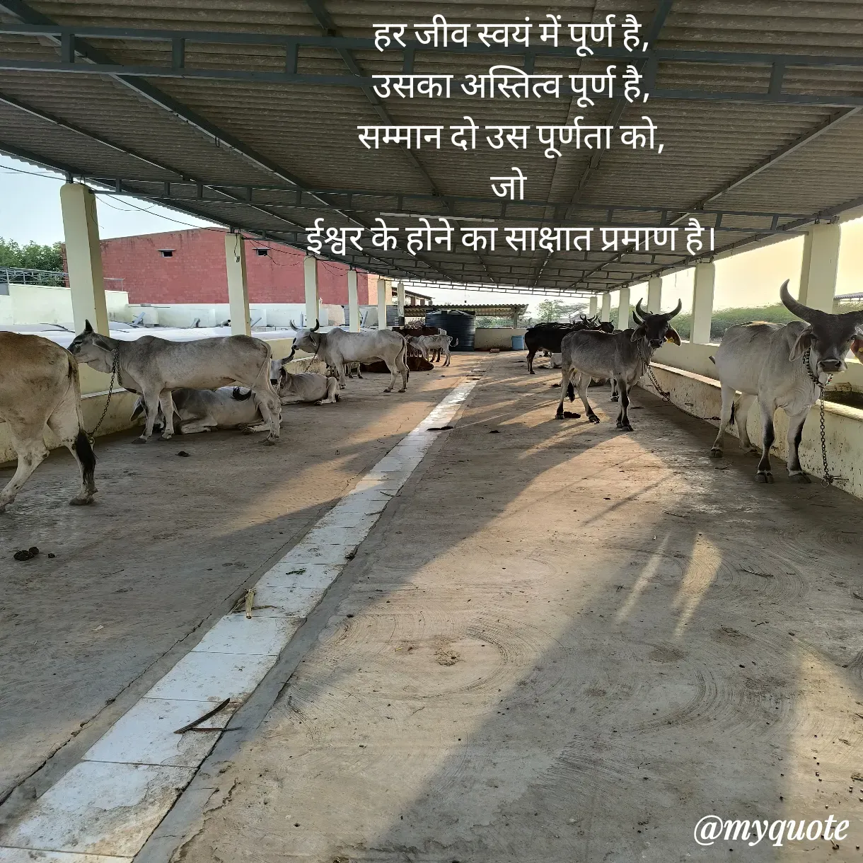Quote by Anju - हर जीव स्वयं में पूर्ण है,
उसका अस्तित्व पूर्ण है,
सम्मान दो उस पूर्णता को,
जो 
ईश्वर के होने का साक्षात प्रमाण है। - Made using Quotes Creator App, Post Maker App