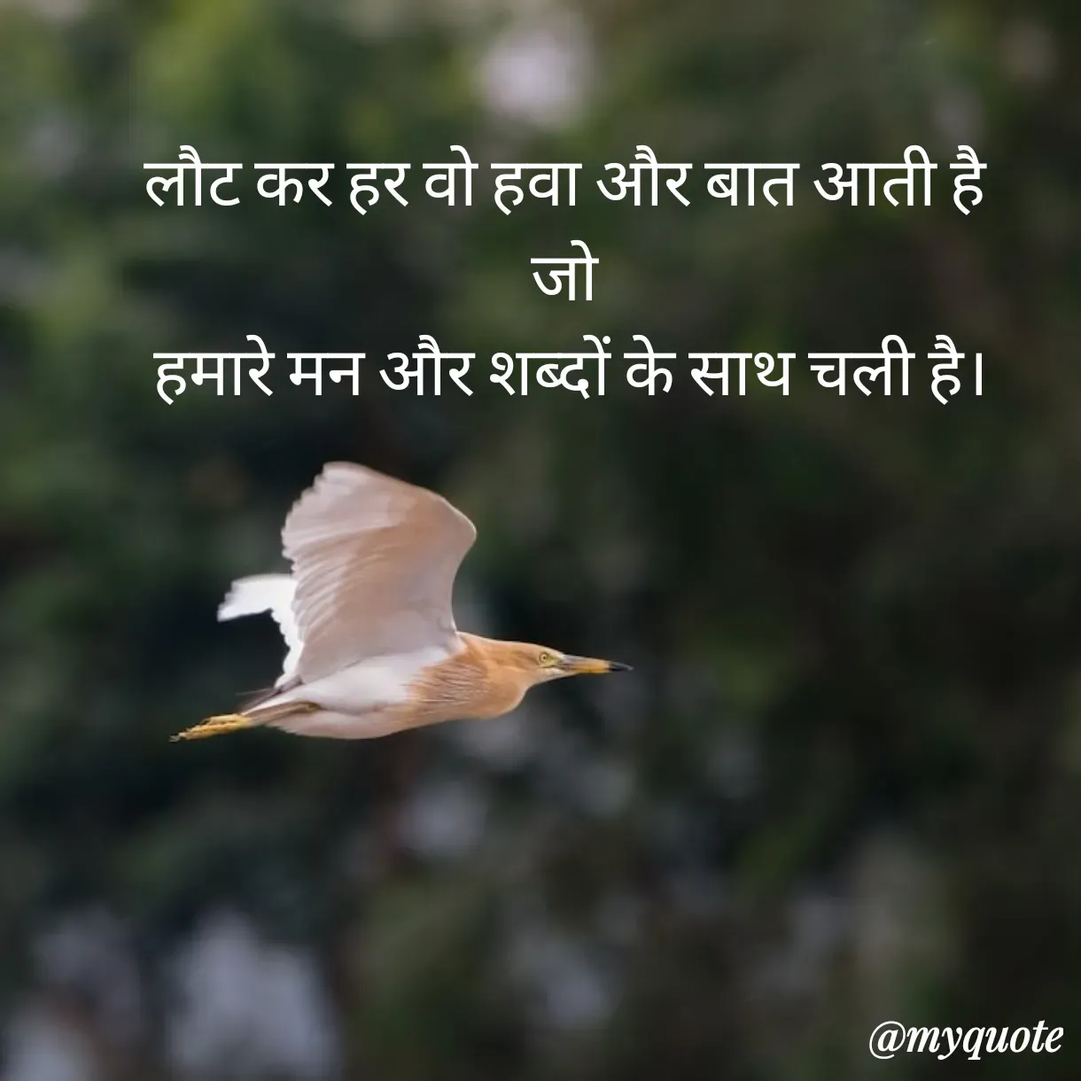 Quote by Anju - लौट कर हर वो हवा और बात आती है 
जो 
हमारे मन और शब्दों के साथ चली है। - Made using Quotes Creator App, Post Maker App