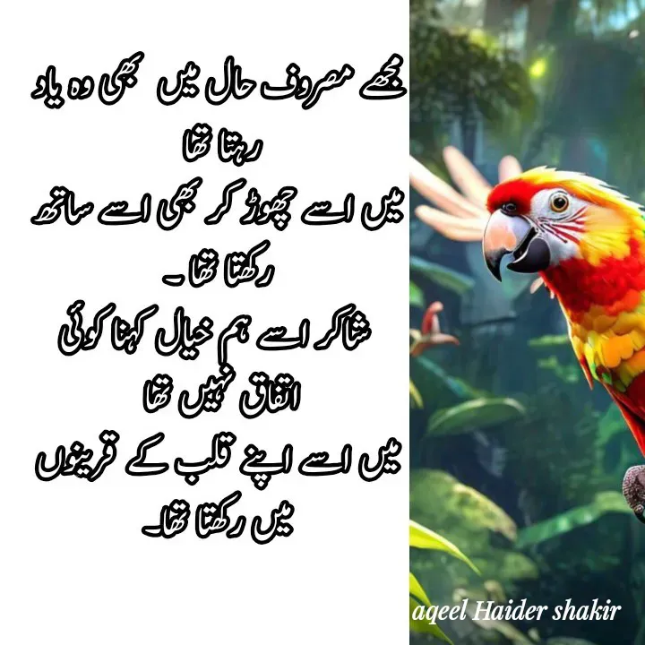 Quote by aqeel haider shakir - Double tap to change text. - Made using Quotes Creator App, Post Maker App