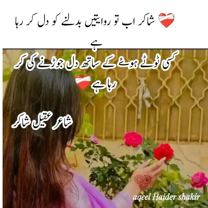 Quote by aqeel haider shakir - Double tap to change text. - Made using Quotes Creator App, Post Maker App