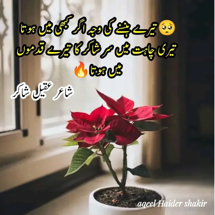 Quote by aqeel haider shakir - Double tap to change text. - Made using Quotes Creator App, Post Maker App