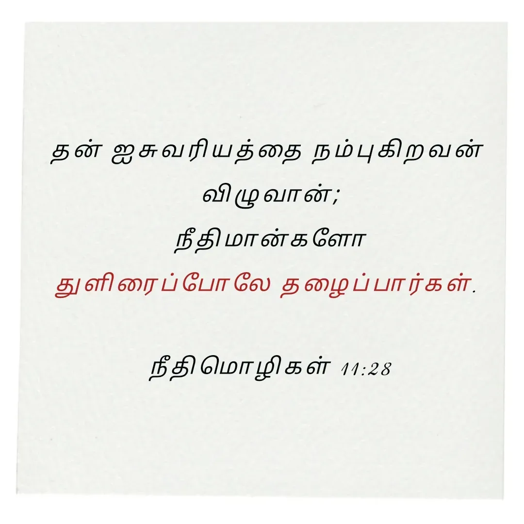 Quote by Annie A - தன் ஐசுவரியத்தை நம்புகிறவன் 
விழுவான்;
 நீதிமான்களோ 
துளிரைப்போலே தழைப்பார்கள். 

நீதிமொழிகள் 11:28

 - Made using Quotes Creator App, Post Maker App