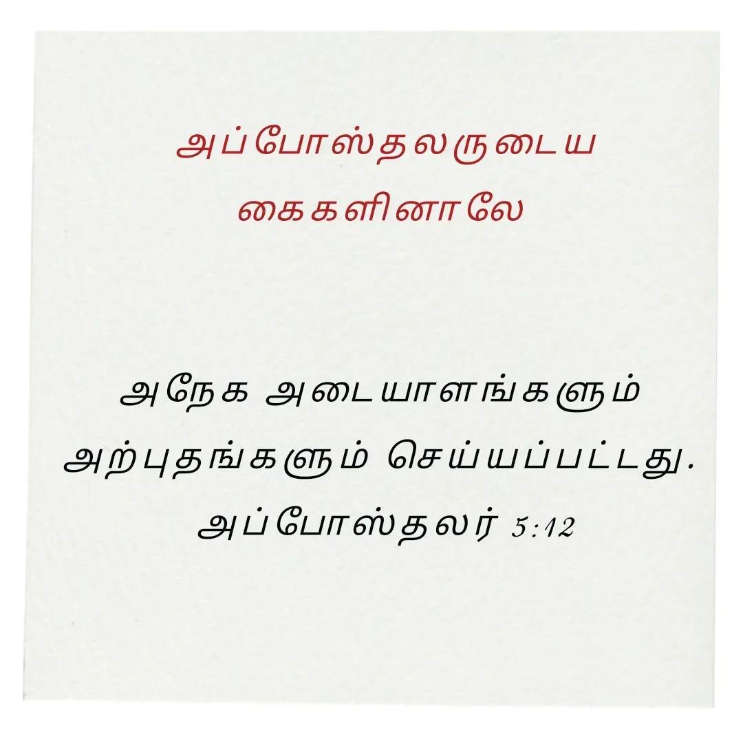 Quote by Annie A - அப்போஸ்தலருடைய கைகளினாலே 


அநேக அடையாளங்களும் 
அற்புதங்களும் செய்யப்பட்டது. 
அப்போஸ்தலர் 5:12

 - Made using Quotes Creator App, Post Maker App