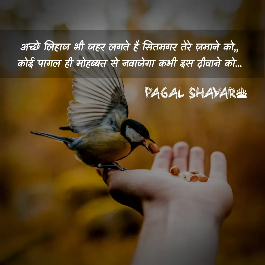 Quote by Chahat Maurya💞 -  - Made using Quotes Creator App, Post Maker App