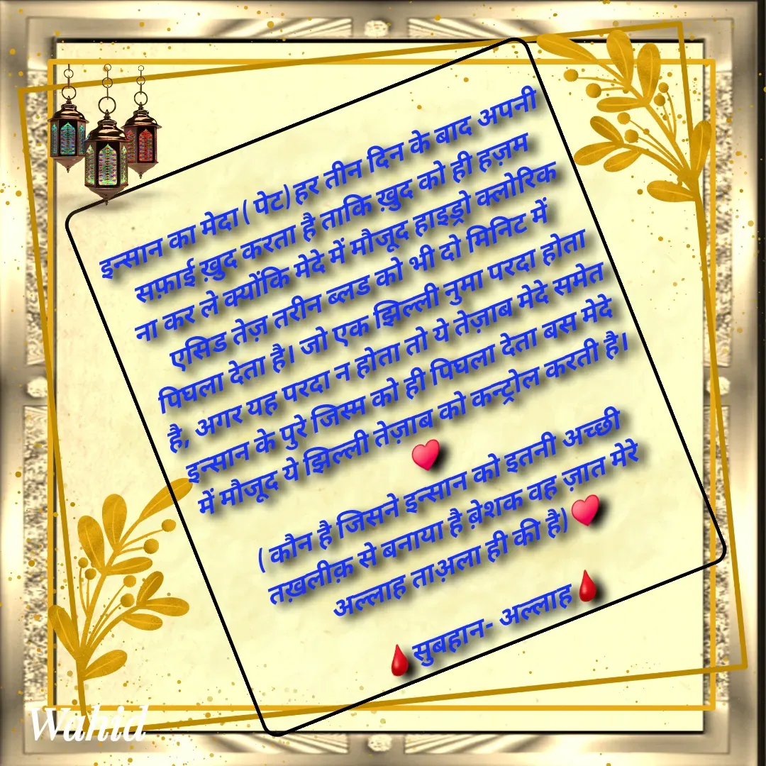 Quote by Allah da bandah - 
इन्सान का मेदा ( पेट) हर तीन दिन के बाद अपनी सफ़ाई ख़ुद करता है ताकि ख़ुद को ही हज़म ना कर ले क्योंकि मेदे में मौजूद हाइड्रो क्लोरिक एसिड तेज़ तरीन ब्लड को भी दो मिनिट में पिघला देता है। जो एक झिल्ली नुमा परदा होता है, अगर यह परदा न होता तो ये तेज़ाब मेदे समेत इन्सान के पुरे जिस्म को ही पिघला देता बस मेदे में मौजूद ये झिल्ली तेज़ाब को कन्ट्रोल करती है।
♥️
( कौन है जिसने इन्सान को इतनी अच्छी तख़लीक़ से बनाया है ब़ेशक वह ज़ात मेरे अल्लाह ताअ़ला ही की है) ♥️

🩸सुबहान- अल्लाह🩸 - Made using Quotes Creator App, Post Maker App