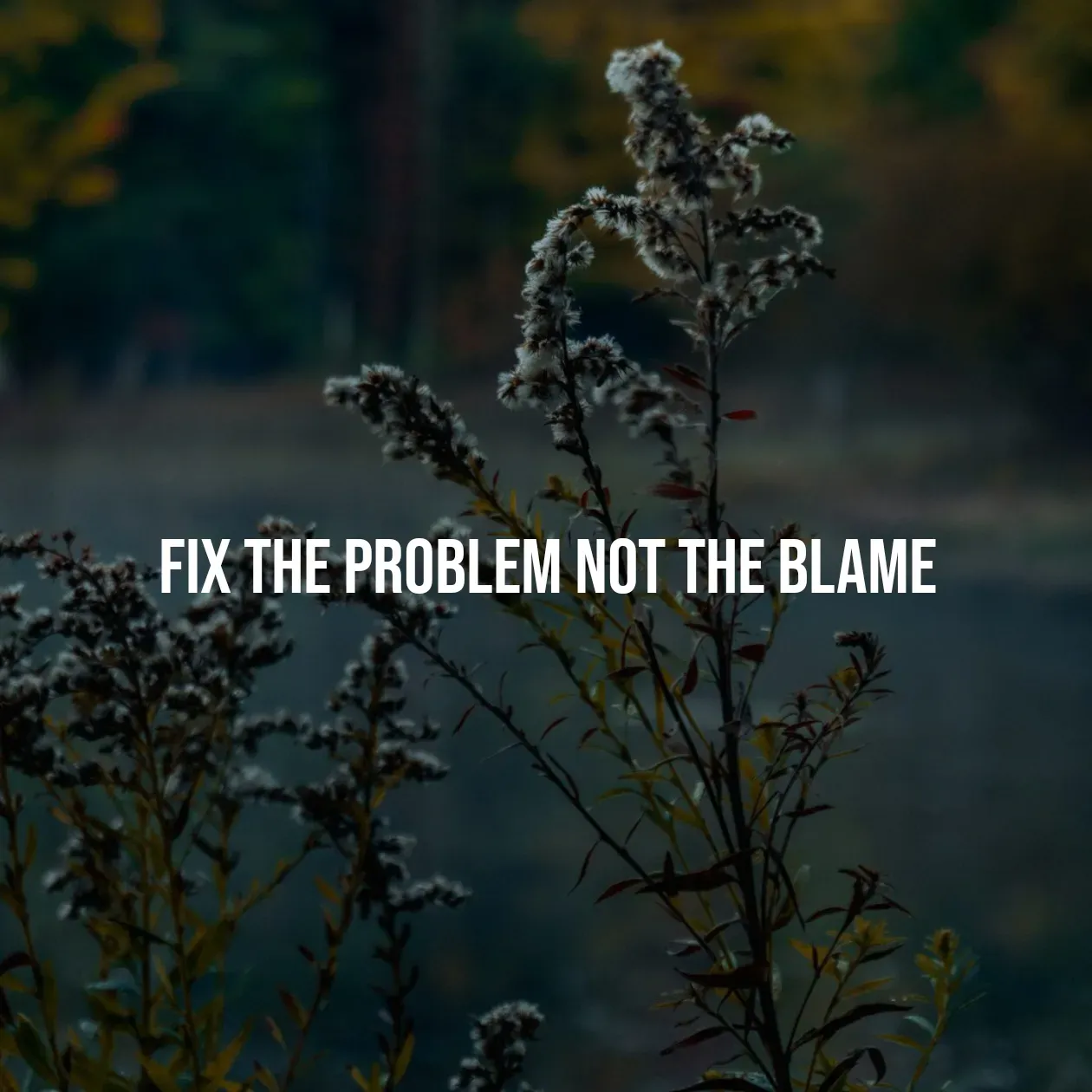 Quote by Pavan G - fix the problem not the blame - Made using Quotes Creator App, Post Maker App