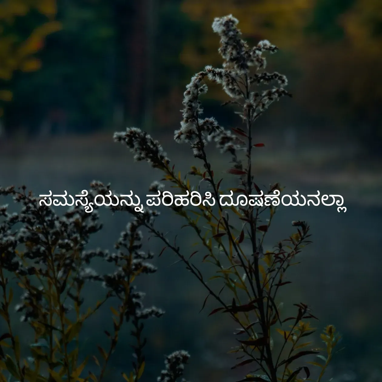 Quote by Pavan G -  - Made using Quotes Creator App, Post Maker App