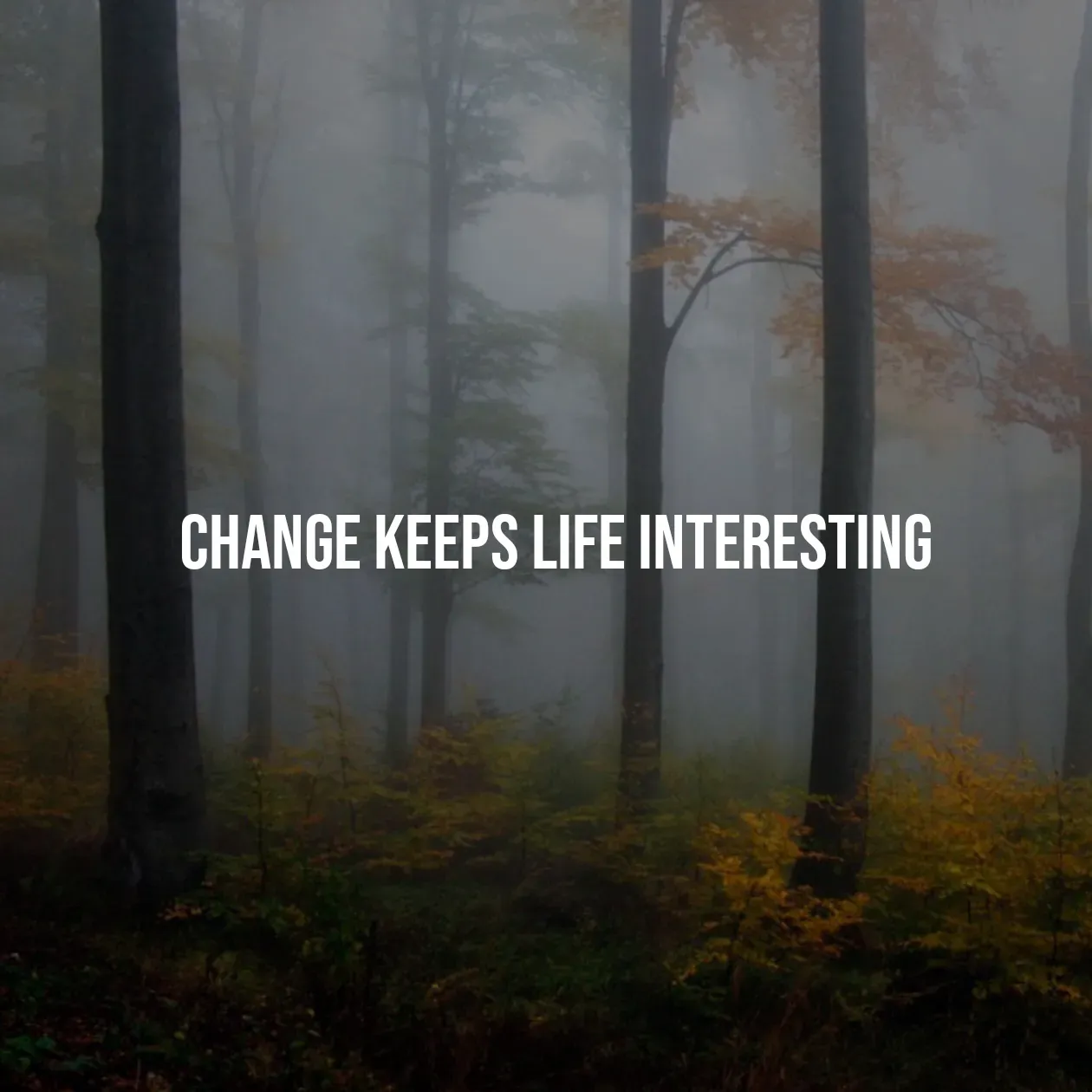 Quote by Pavan G - Change keeps life interesting - Made using Quotes Creator App, Post Maker App