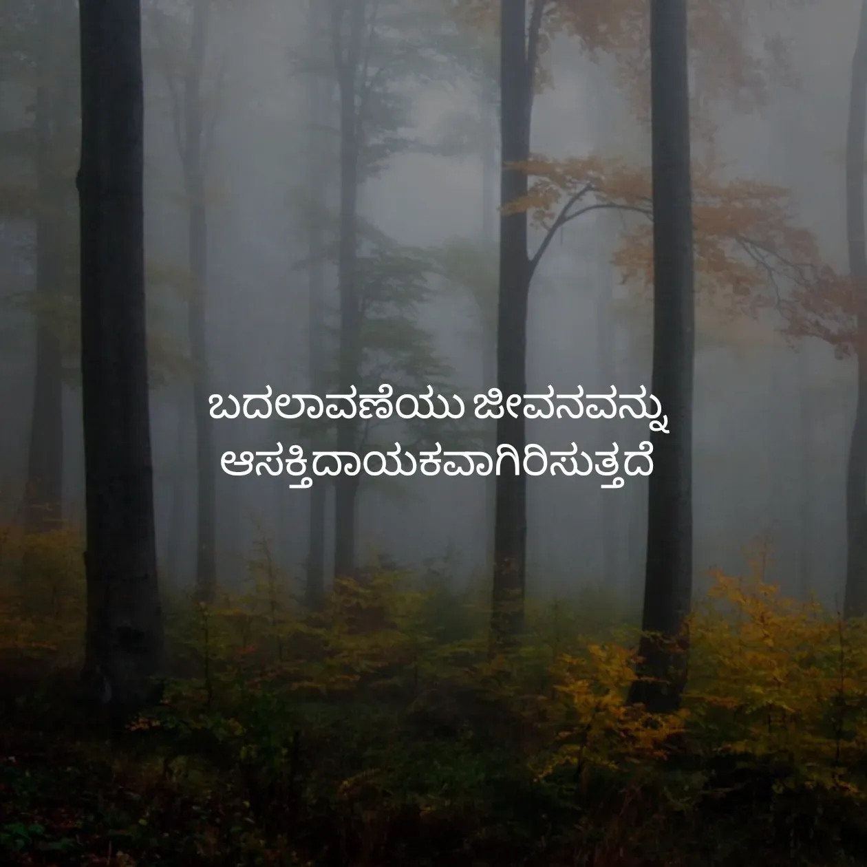 Quote by Pavan G -  - Made using Quotes Creator App, Post Maker App
