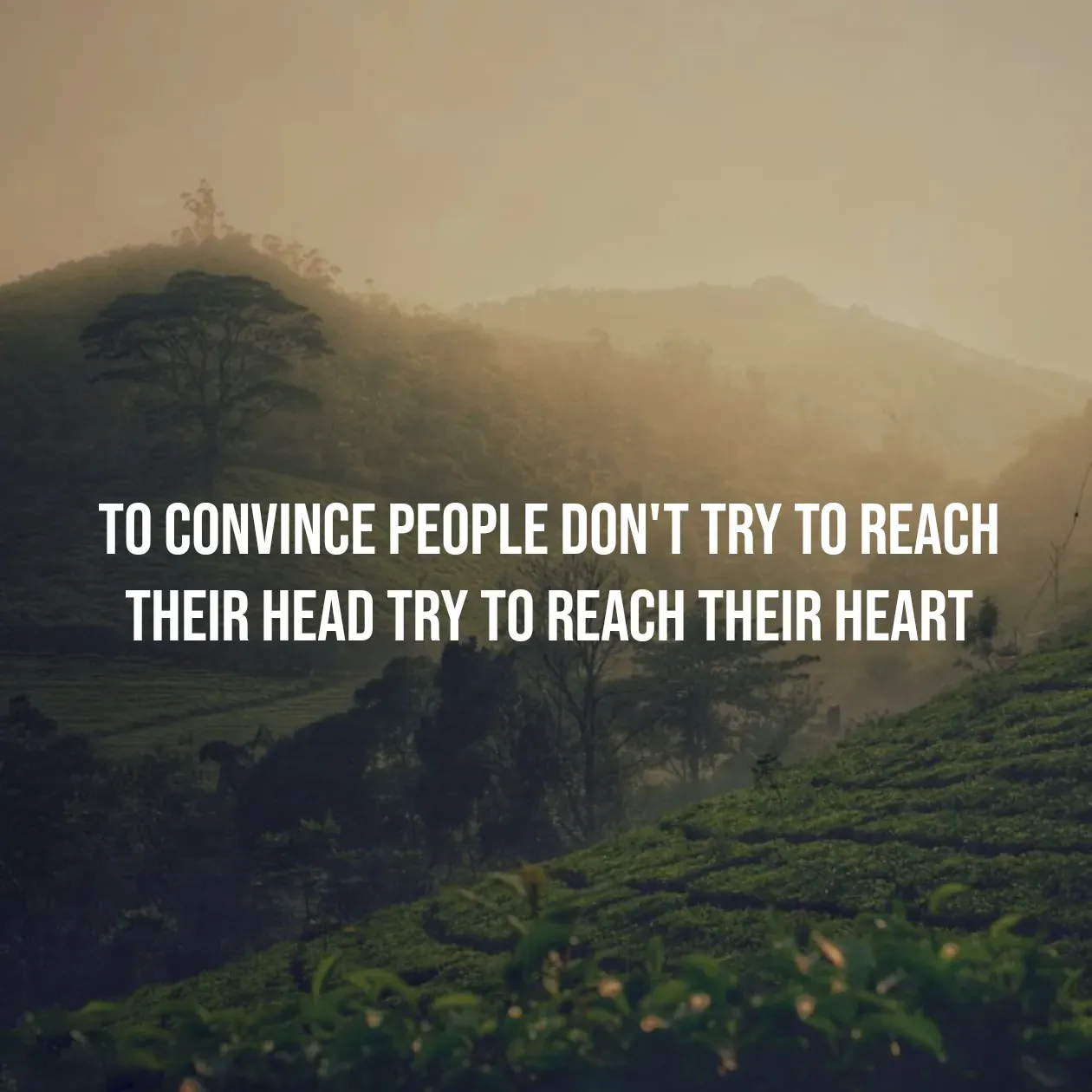 Quote by Pavan G -  - Made using Quotes Creator App, Post Maker App