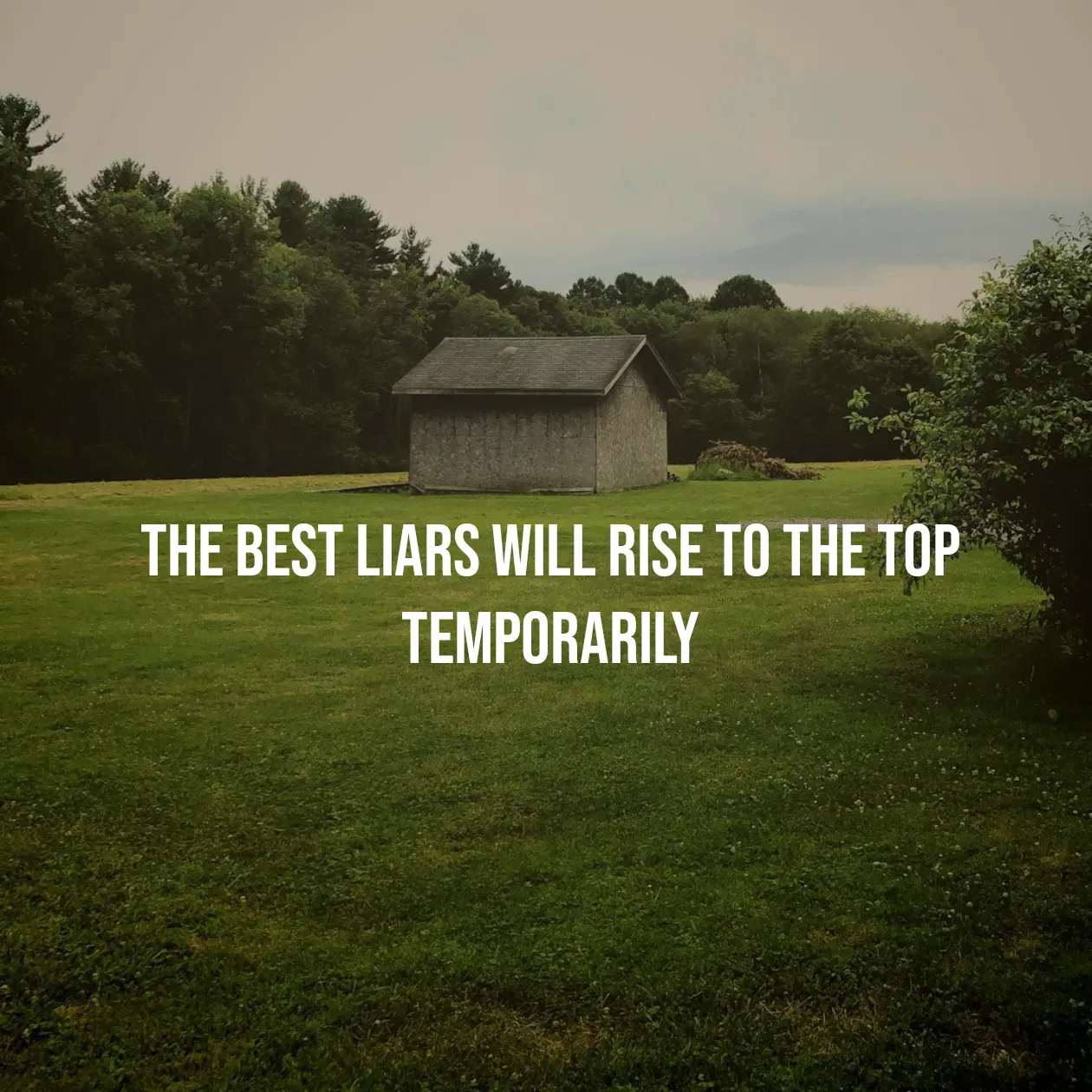Quote by Pavan G - The best liars will rise to the top temporarily - Made using Quotes Creator App, Post Maker App