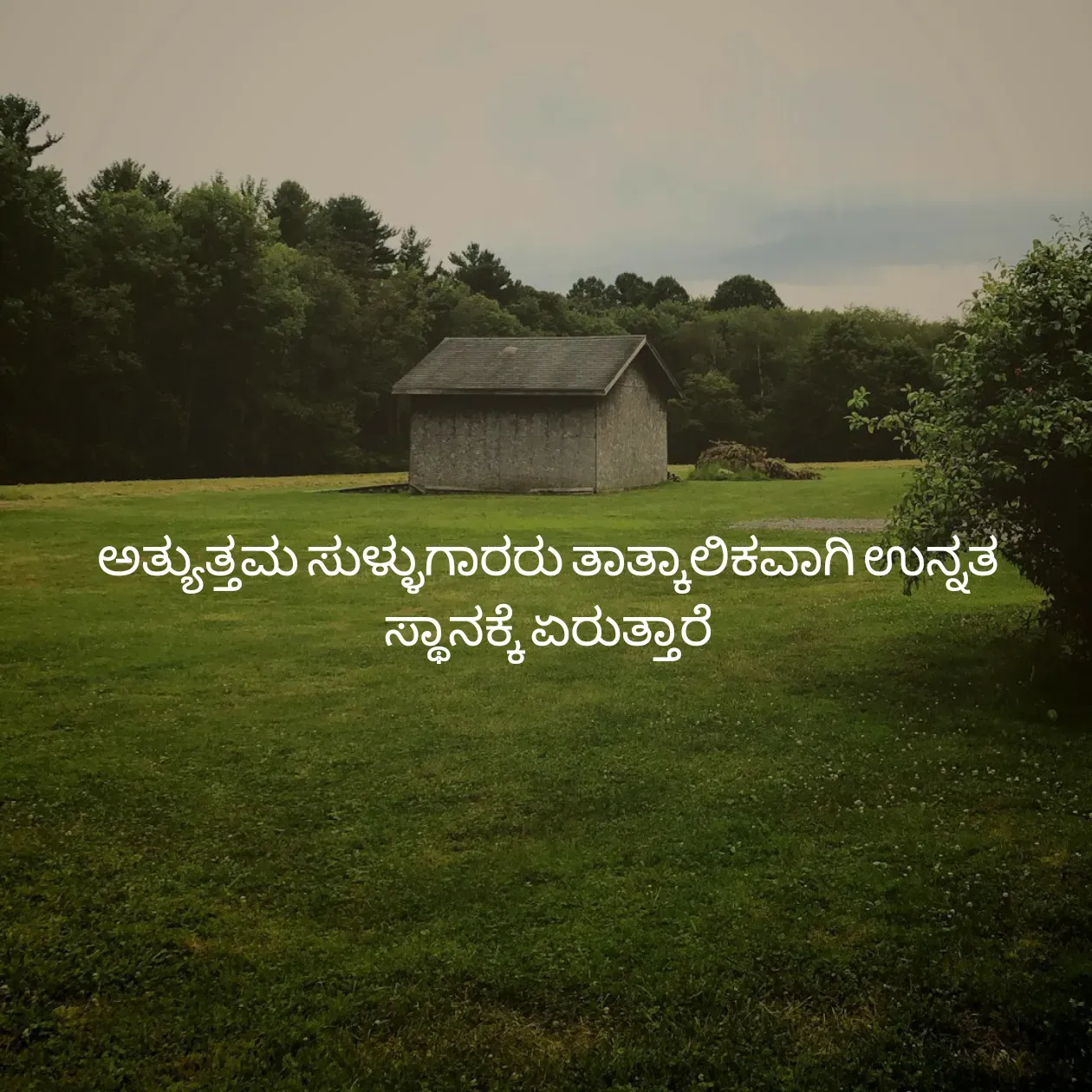 Quote by Pavan G - ಅತ್ಯುತ್ತಮ ಸುಳ್ಳುಗಾರರು ತಾತ್ಕಾಲಿಕವಾಗಿ ಉನ್ನತ ಸ್ಥಾನಕ್ಕೆ ಏರುತ್ತಾರೆ
 - Made using Quotes Creator App, Post Maker App