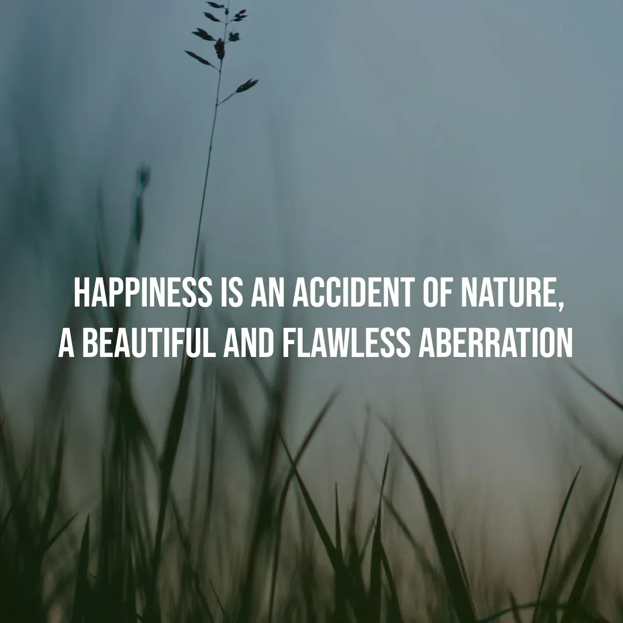Quote by Pavan G -   Happiness is an accident of nature, 
a beautiful and flawless aberration - Made using Quotes Creator App, Post Maker App