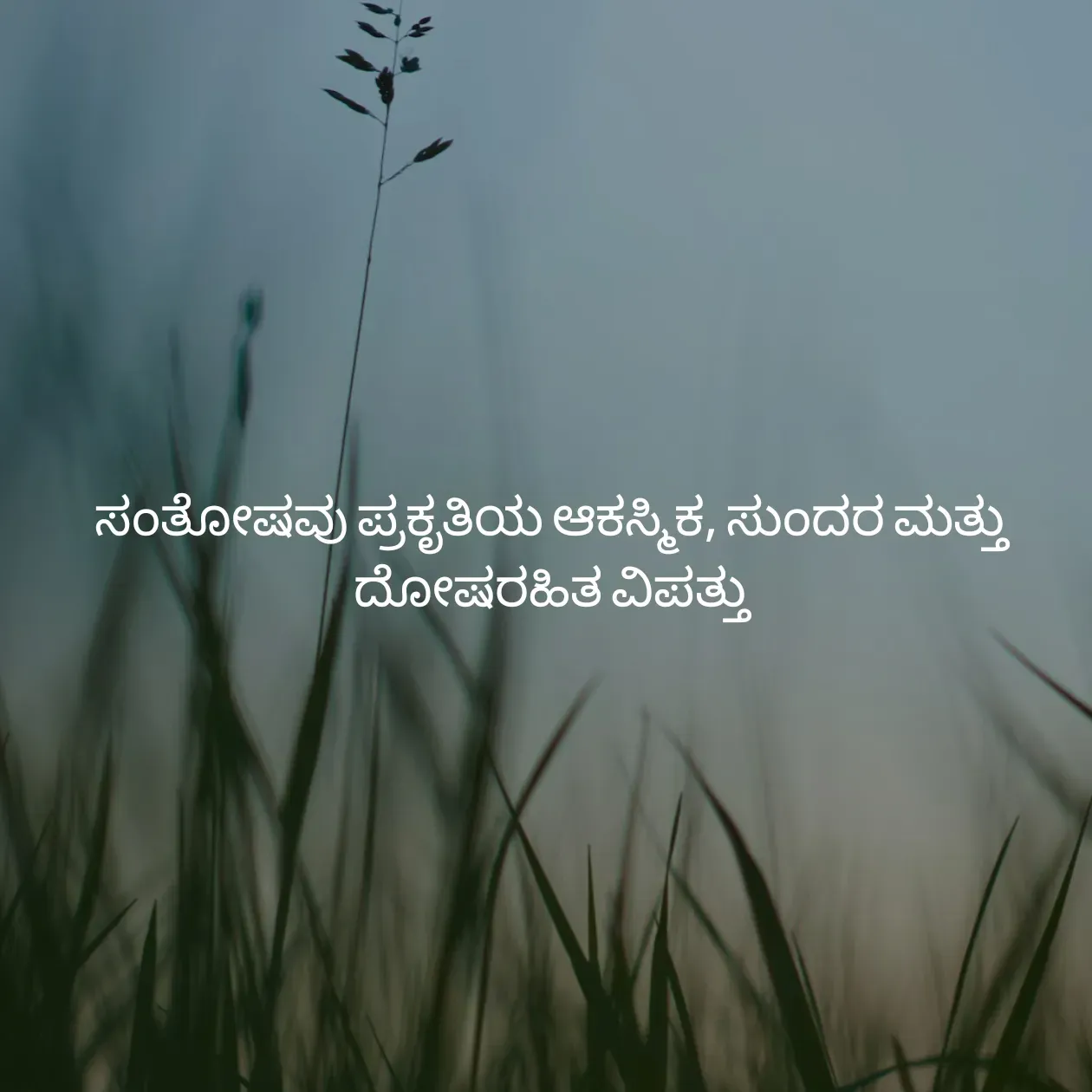 Quote by Pavan G - ಸಂತೋಷವು ಪ್ರಕೃತಿಯ ಆಕಸ್ಮಿಕ, ಸುಂದರ ಮತ್ತು ದೋಷರಹಿತ ವಿಪತ್ತು - Made using Quotes Creator App, Post Maker App