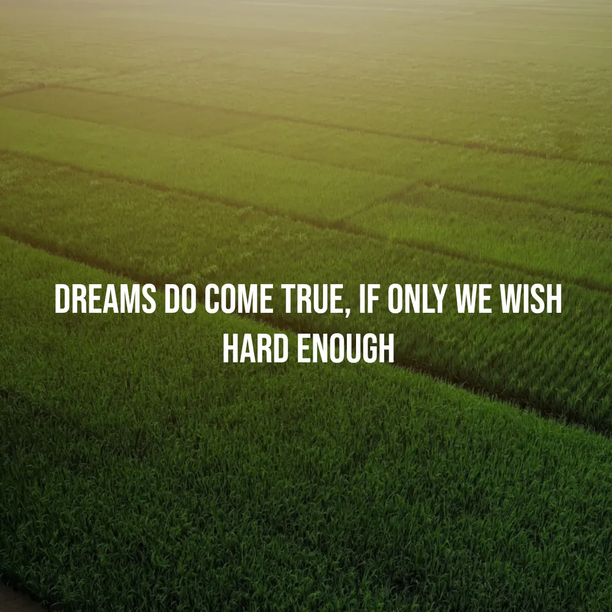 Quote by Pavan G - Dreams do come true, if only we wish hard enough - Made using Quotes Creator App, Post Maker App