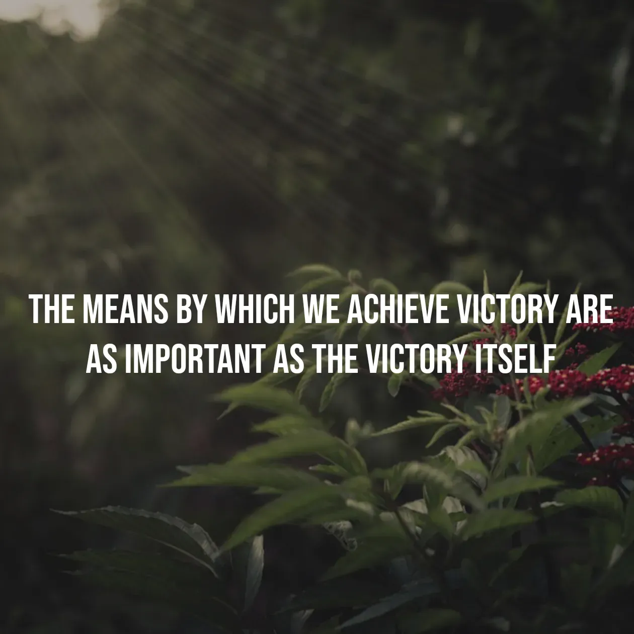 Quote by Pavan G - The means by which we achieve victory are as important as the victory itself - Made using Quotes Creator App, Post Maker App
