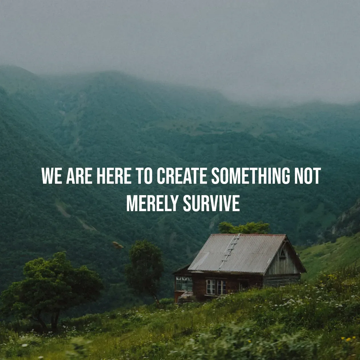 Quote by Pavan G - we are here to create something not 
merely survive - Made using Quotes Creator App, Post Maker App