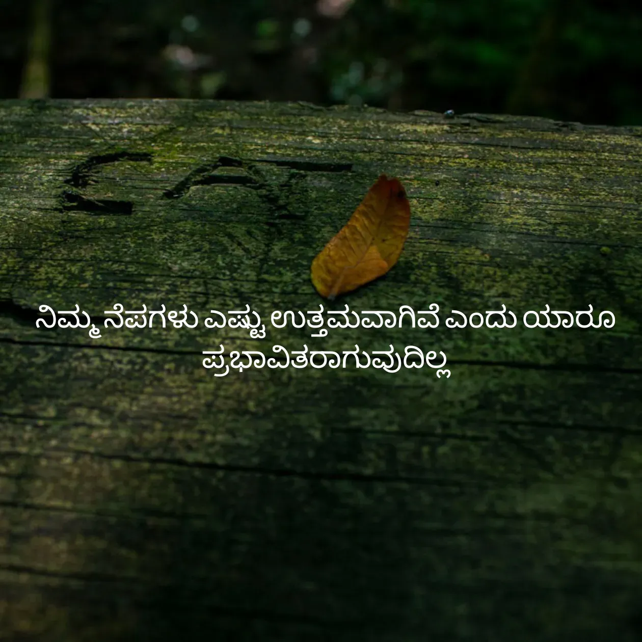 Quote by Pavan G -  - Made using Quotes Creator App, Post Maker App