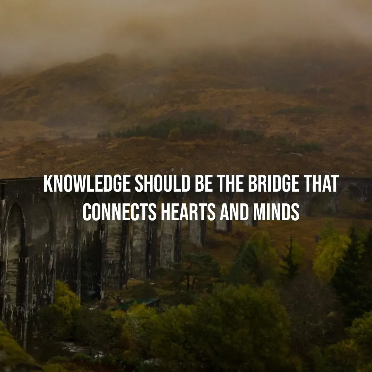 Quote by Pavan G - knowledge should be the bridge that connects hearts and minds - Made using Quotes Creator App, Post Maker App