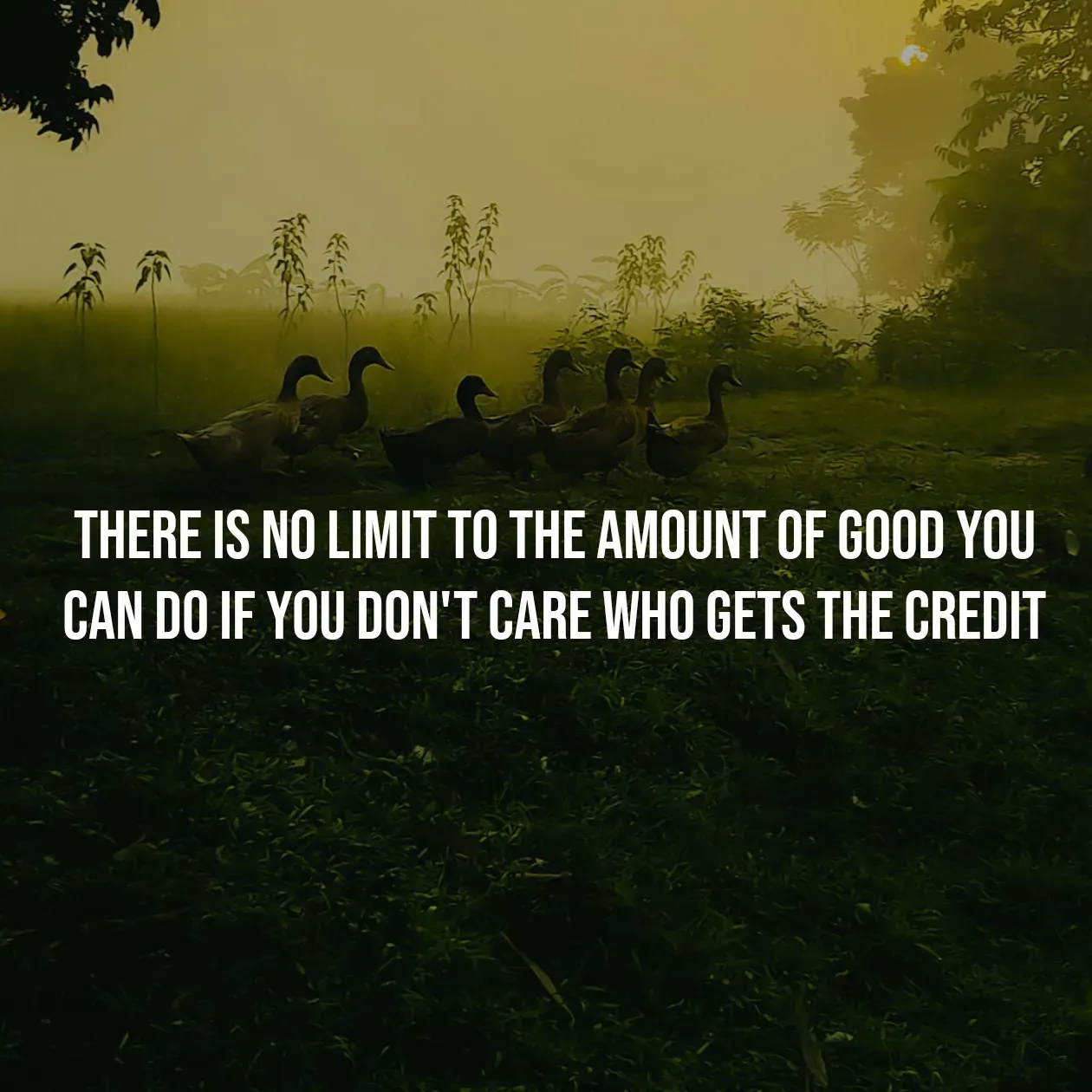 Quote by Pavan G - There is no limit to the amount of good you can do if you don't care who gets the credit - Made using Quotes Creator App, Post Maker App