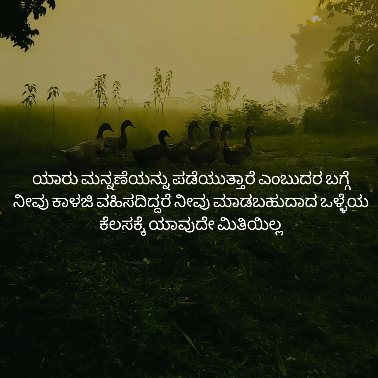 Quote by Pavan G -  - Made using Quotes Creator App, Post Maker App