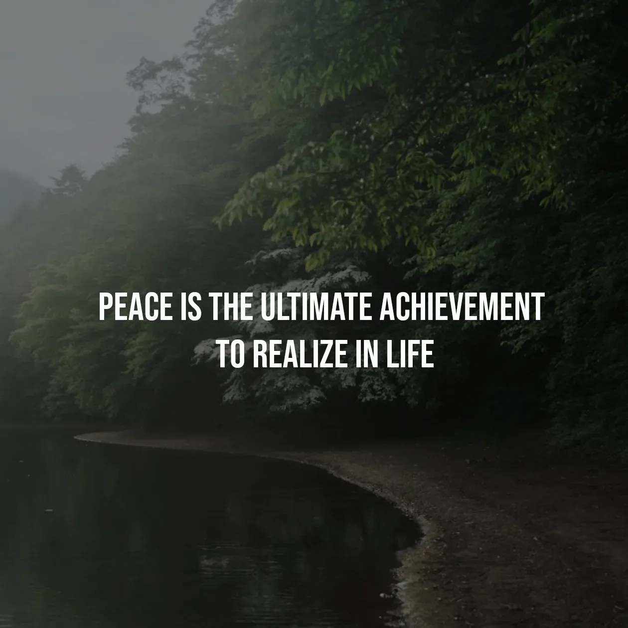 Quote by Pavan G - Peace is the ultimate achievement 
to realize in life - Made using Quotes Creator App, Post Maker App
