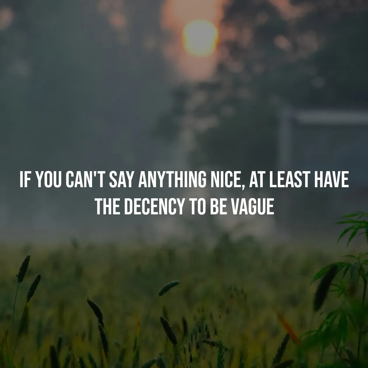 Quote by Pavan G - If you can't say anything nice, at least have the decency to be vague - Made using Quotes Creator App, Post Maker App