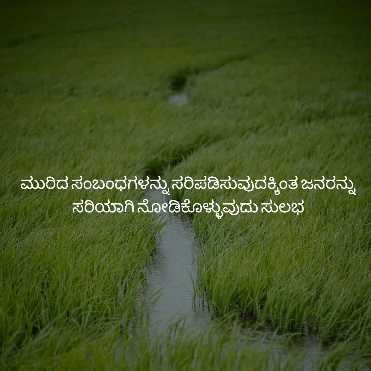 Quote by Pavan G -  - Made using Quotes Creator App, Post Maker App