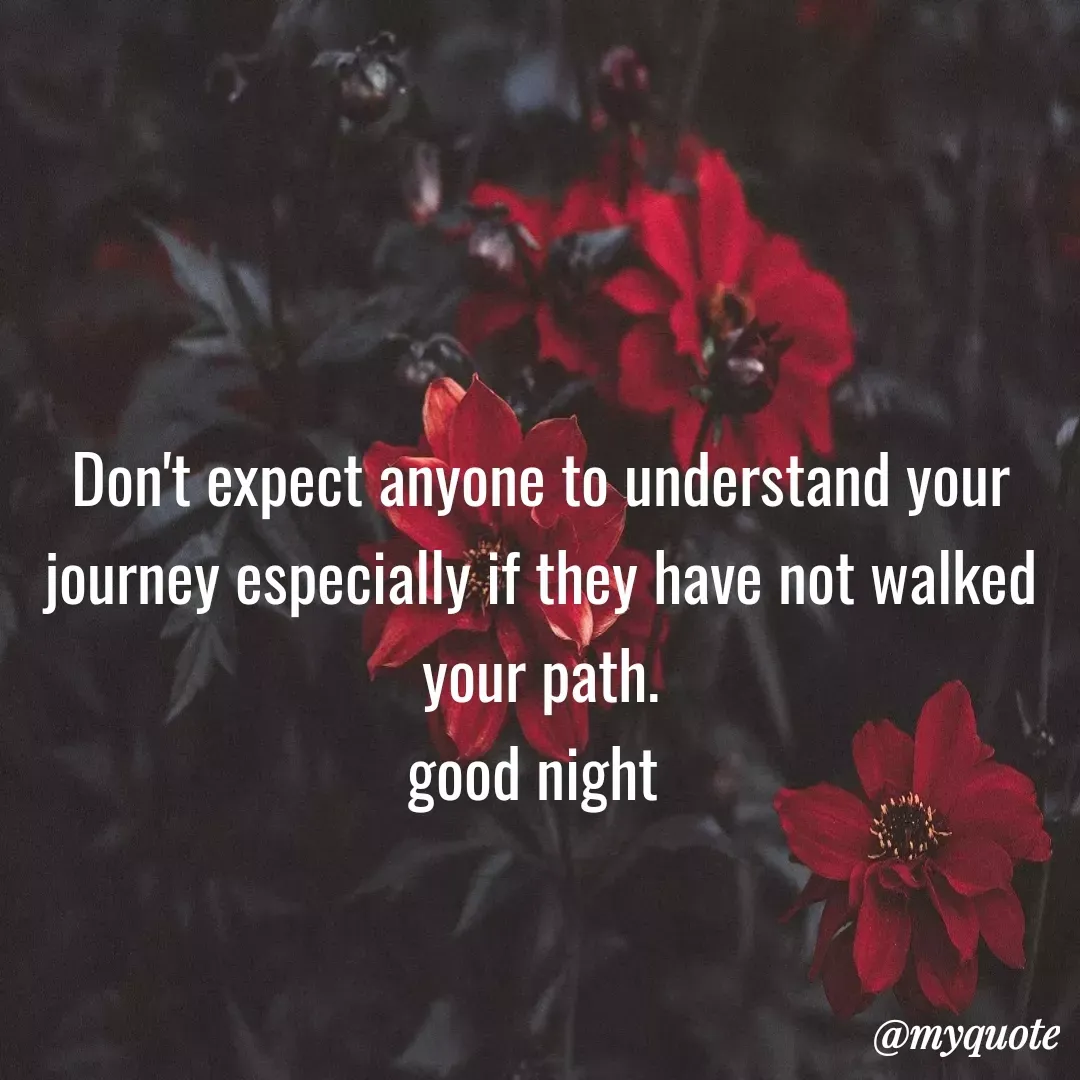 Quote by Ambiga Saravanakumar - Don't expect anyone to understand your journey especially if they have not walked your path.
good night  - Made using Quotes Creator App, Post Maker App
