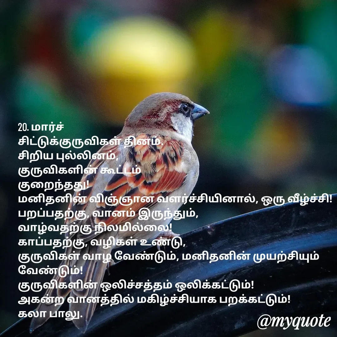 Quote by Kala Balu - 20. மார்ச்
சிட்டுக்குருவிகள் தினம்.
சிறிய புல்லினம்,
குருவிகளின் கூட்டம் 
குறைந்தது!
மனிதனின் விஞ்ஞான வளர்ச்சியினால், ஒரு வீழ்ச்சி!
பறப்பதற்கு, வானம் இருந்தும்,
வாழ்வதற்கு நிலமில்லை!
காப்பதற்கு, வழிகள் உண்டு,
குருவிகள் வாழ வேண்டும், மனிதனின் முயற்சியும் வேண்டும்!
குருவிகளின் ஒலிச்சத்தம் ஒலிக்கட்டும்!
அகன்ற வானத்தில் மகிழ்ச்சியாக பறக்கட்டும்!
கலா பாலு. - Made using Quotes Creator App, Post Maker App