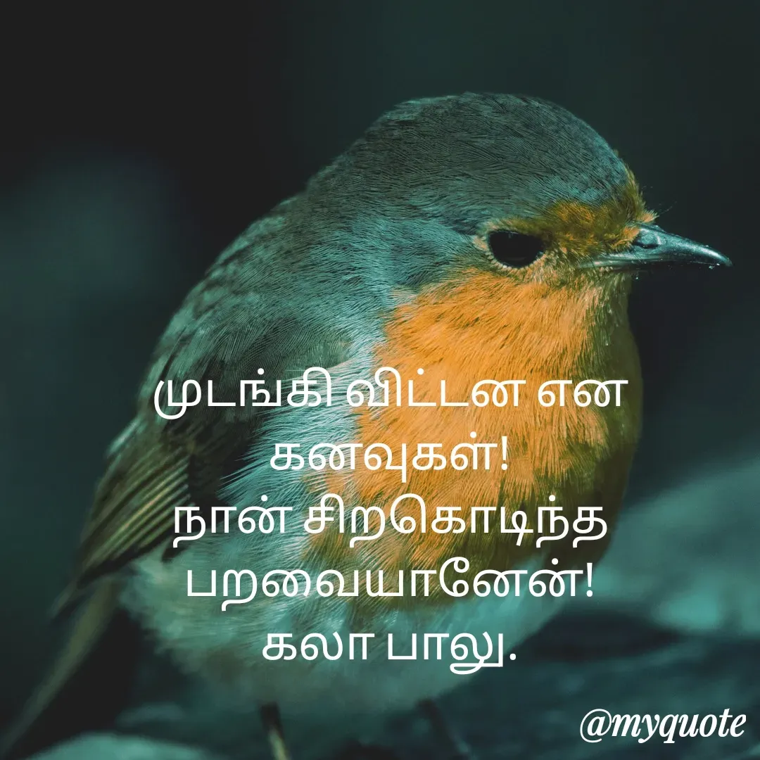 Quote by Kala Balu -  - Made using Quotes Creator App, Post Maker App