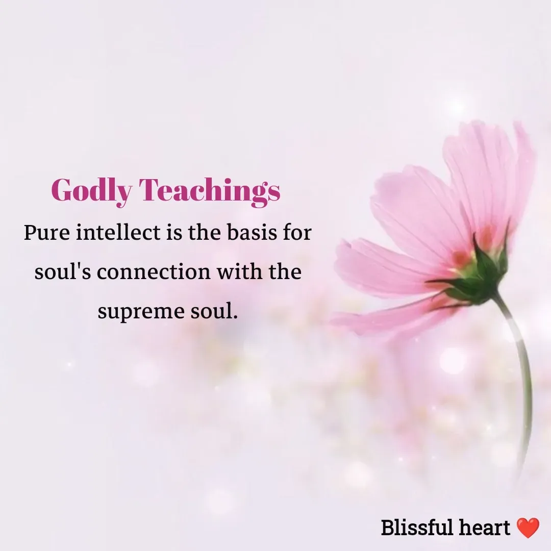 Quote by Disha B - Godly Teachings 
Pure intellect is the basis for soul's connection with the supreme soul. - Made using Quotes Creator App, Post Maker App
