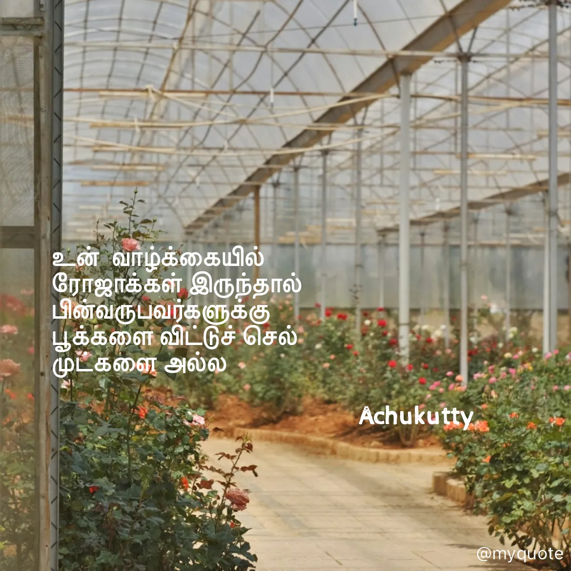 Quote by Achukutty -  - Made using Quotes Creator App, Post Maker App