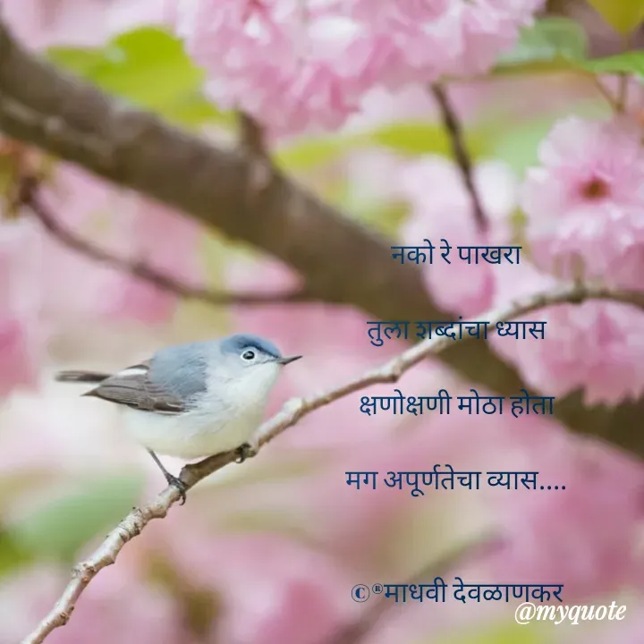 Quote by madhavi nd -  - Made using Quotes Creator App, Post Maker App