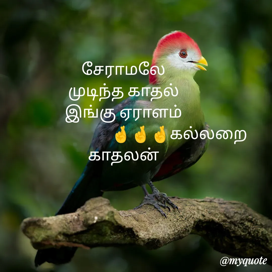Quote by Jeya Raman -  - Made using Quotes Creator App, Post Maker App