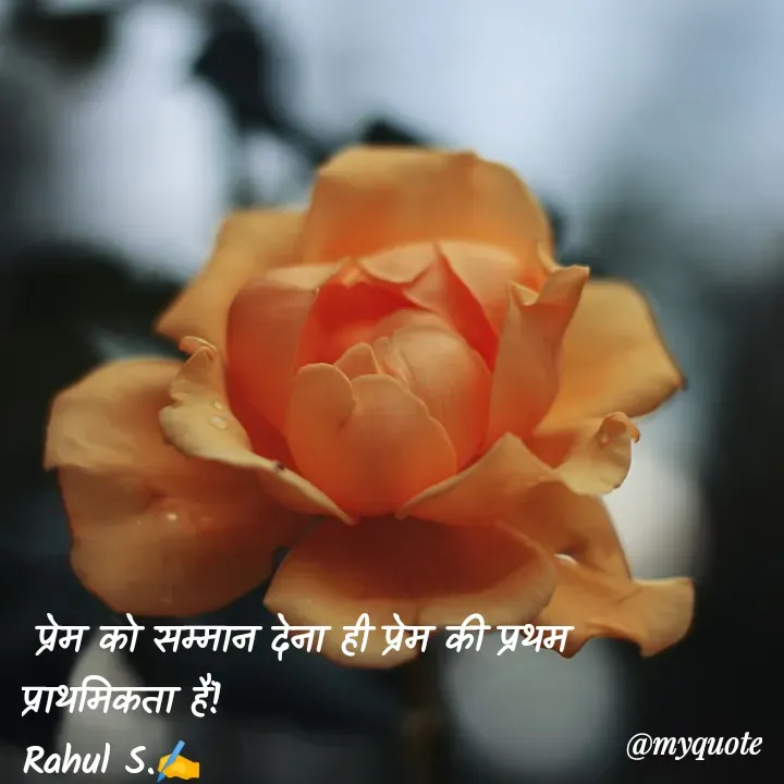 Quote by Rahul S. -  प्रेम को सम्मान देना ही प्रेम की प्रथम प्राथमिकता हैं! 
Rahul S.✍️ - Made using Quotes Creator App, Post Maker App
